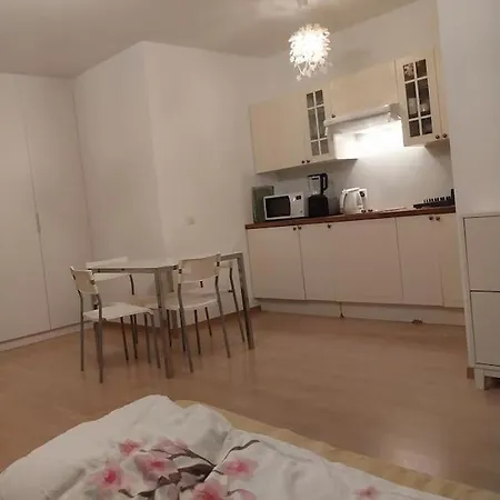 Lejlighed Tres Grand Studio Proche De Tout Genève